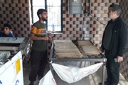 بازدید بخشداربزینه رود از نانوایی مستقر در روستای استرود