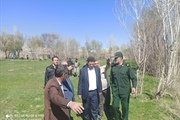 پیگیری حادثه حمله گرگ در شهر زرین رود