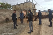حضور بخشدار بزینه رود در روستای قیاسکندی