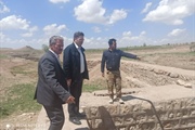 بخشدار از زمینهای کشاورزی درمان اوستی زرین رود بازدید کرد