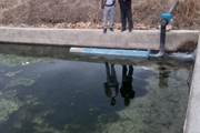 بازدید بخشدار افشار از آبیاری تحت فشار روستای سوله