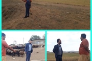 بررسی میدانی مشکلات آب شرب روستاهای بخش مرکزی ابهر