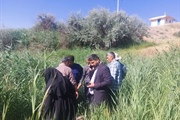 بازدید بخشدار بخش  حلب  از محل توزیع آب شرب و قنات  های روستای ...