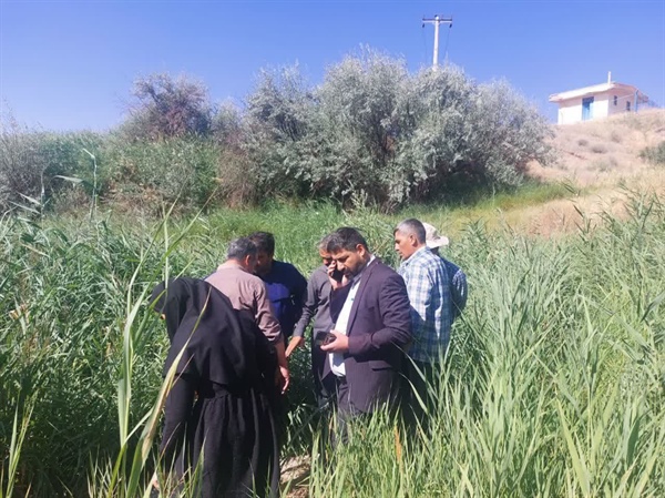 بازدید بخشدار بخش  حلب  از محل توزیع آب شرب و قنات  های روستای  کهریز سیاه منصور در روز یکشنبه  با معیت  مدیر آب و فاضلاب  شهرستان ایجرود،  رئیس  اداره  آب  بخش حلب ، کارشناس  بهداشت محیط  مرکز بهداشت