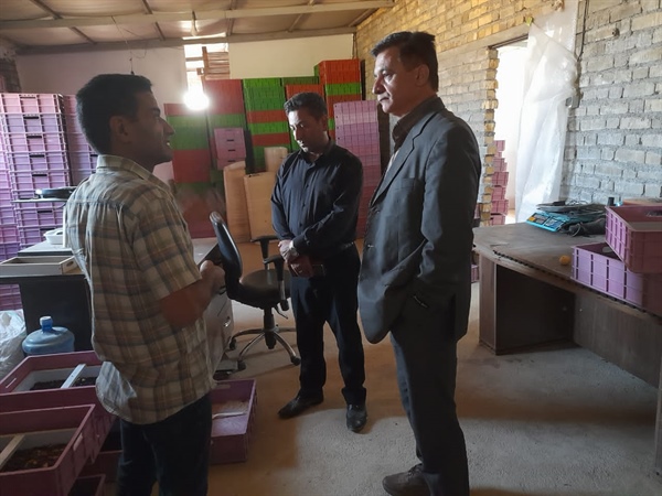 بازدید فرماندار شهرستان سلطانیه وبخشدار باغ حلی از کارگاه پرورش میل ورم در روستای خرمدرق