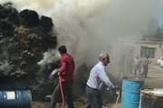 مهار آتش سوزی در روستای کنگه از توابع بخش باغ حلی