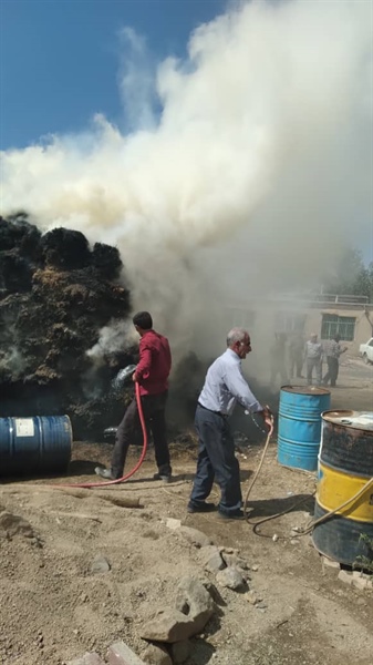 مهار آتش سوزی در روستای کنگه از توابع بخش باغ حلی