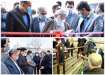 با حضور معاون طرح و برنامه وزیر صمت، امام جمعه و استاندارزنجان، فرماندار ایجرود و جمعی از مدیران استان و شهرستان ایجرود طرح تولید ورق کادمیوم و نیکل به بهره برداری رسید