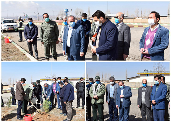 برگزاری مراسم روز درختکاری با حضور فرماندار و جمعی از اعضای شورای اداری شهرستان ایجرود