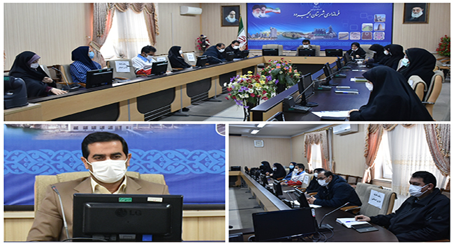 سرپرست فرمانداری شهرستان ایجرود؛ تشکیل 9 صندوق خرد در 5 روستای این شهرستان