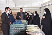 بازدید فرماندار ایجرود و مدیر کل امور بانوان و خانواده استانداری...