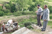 حضور سرپرست فرمانداری ایجرود در روستای صائین و بررسی روند جمع آوری...
