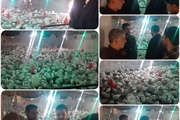 بازدید بخشدار محترم از مجموعه پرورش بوقلمون در روستای خنداب